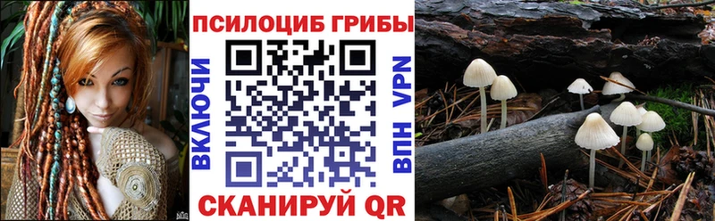 Купить  Короча  Псилоцибиновые грибы Magic Shrooms 